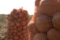 cartofi lunguletu