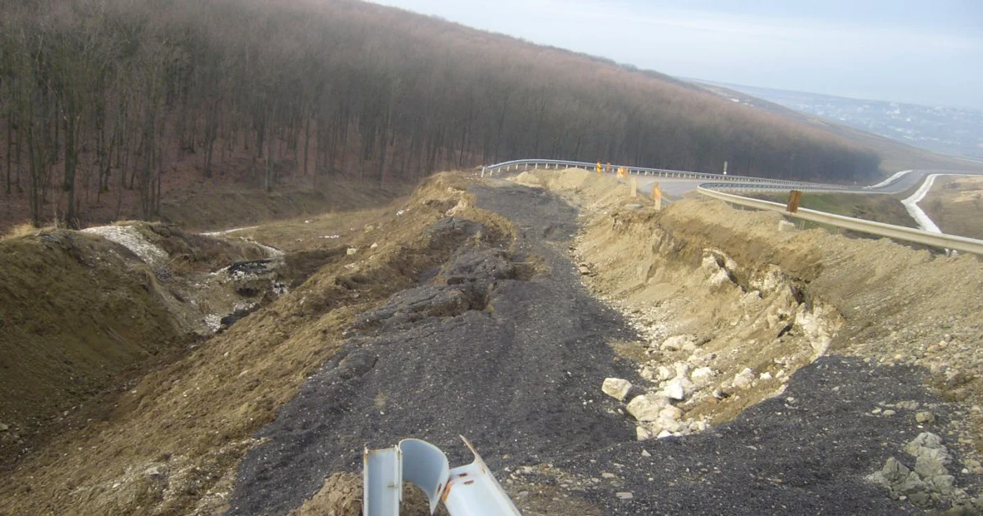 Hectare întregi de teren degradat nu pot fi împădurite din lipsă de fonduri