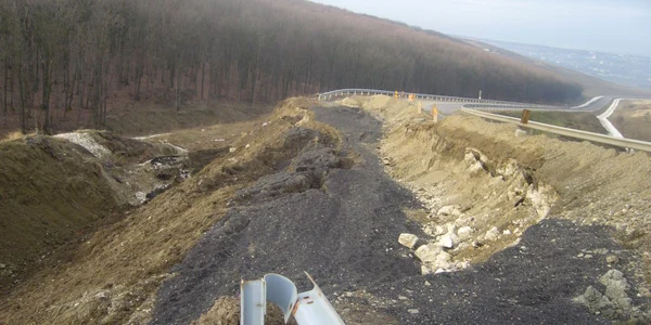 Hectare întregi de teren degradat nu pot fi împădurite din lipsă de fonduri