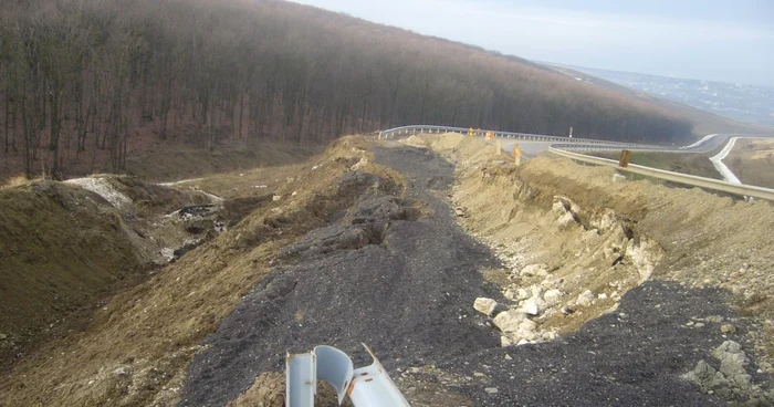 Hectare întregi de teren degradat nu pot fi împădurite din lipsă de fonduri