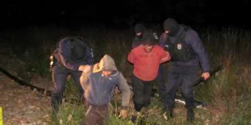 Jandarmii au reuşit să îi prindă doar pe doi dintre hoţi