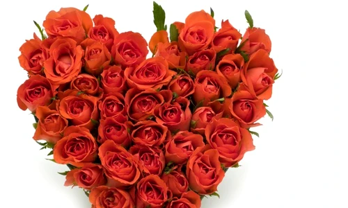 1 61373 original jpg jpeg