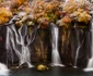Iurie Belegurschi