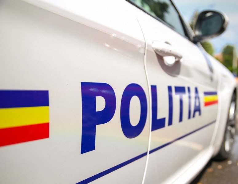 Bărbat reţinut după ce a bătut un cal şi l-a abandonat într-un şanţ de pe marginea drumului. Ce amendă a primit