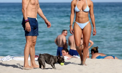 1 david guetta profimedia 0397163760 jpg jpeg