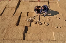 Arheologii din Israel au descoperit opt ouă de struț, cu o vechime cuprinsă între 4.000 și 7.500 de ani (foto: Israel Antiquities Authority)