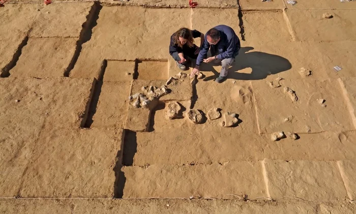 Arheologii din Israel au descoperit opt ouă de struț, cu o vechime cuprinsă între 4.000 și 7.500 de ani (foto: Israel Antiquities Authority)