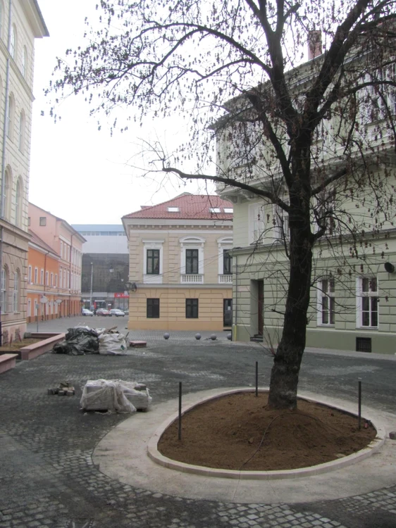 Piaţa Ţarcului din Timişoara FOTO Ştefan Both