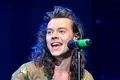 harry styles z jpeg