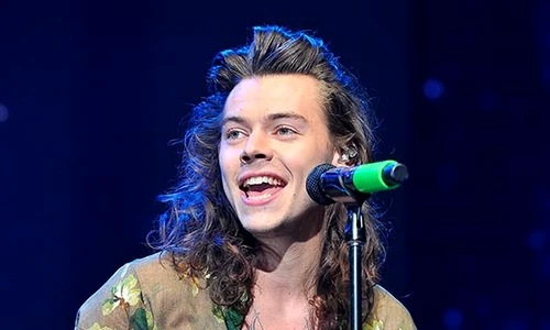 harry styles z jpeg