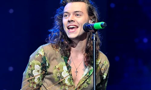 harry styles z jpeg
