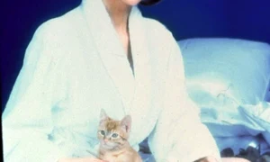 victoria principal deschidere jpeg