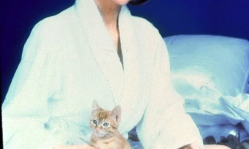 victoria principal deschidere jpeg