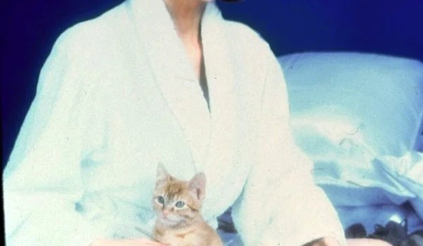 victoria principal deschidere jpeg