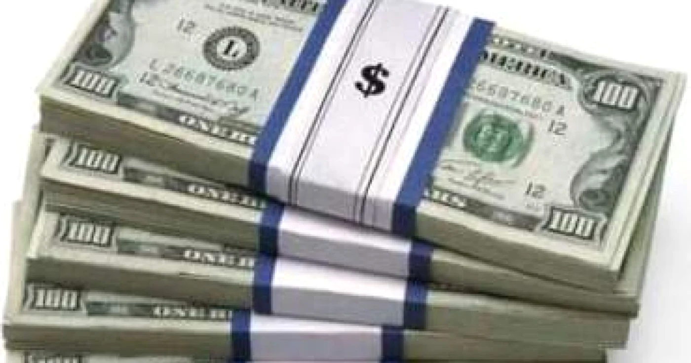 Pierderi de 1 miliard de euro în anul 2008 - Revista presei interne