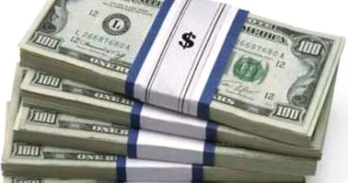 Pierderi de 1 miliard de euro în anul 2008 - Revista presei interne