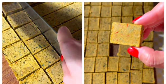 Vegeta de casă / FOTO: Colaj captură video TikTok