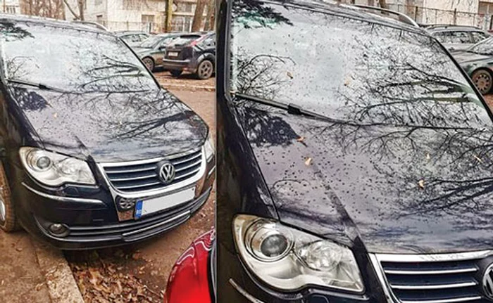 
    Capota maşinii e plină de găuri  