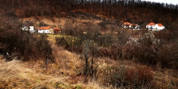 satul dealu mic hunedoara
