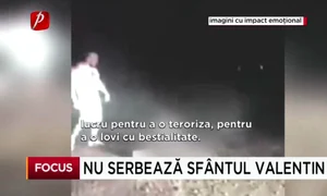 screen shot 2019 02 15 at 10 52 40 png