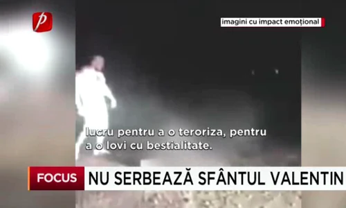screen shot 2019 02 15 at 10 52 40 png