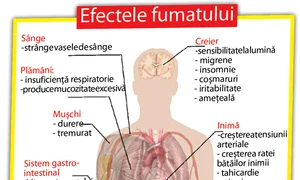 Conform ultimelor statistici la nivel naţional, peste 26,7% dintre români fumează jpeg