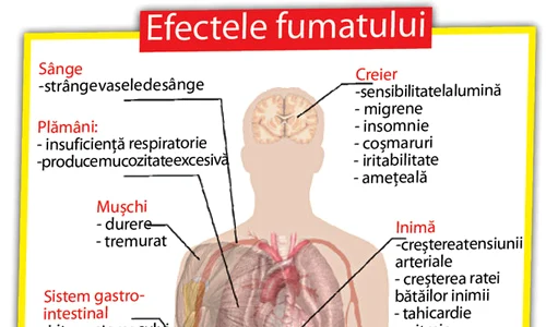 Conform ultimelor statistici la nivel naţional, peste 26,7% dintre români fumează jpeg