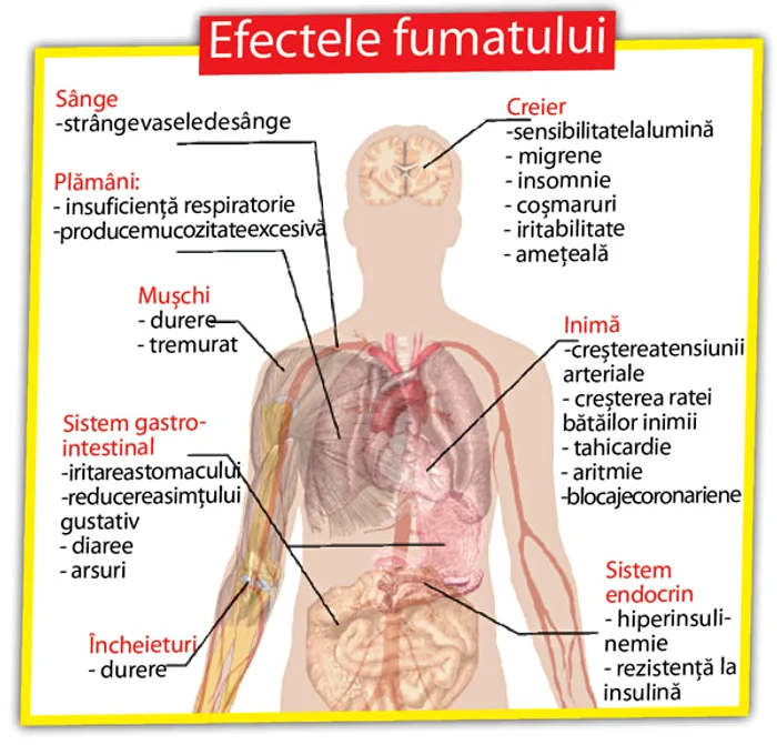 Conform ultimelor statistici la nivel naţional, peste 26,7% dintre români fumează