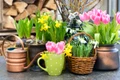 Flori de primavara, foto Shutterstock jpg