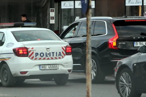 anca serea politie1 jpg