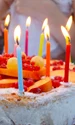 cake 916253 1280 jpg