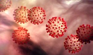 1 coronavirus s jpg jpeg