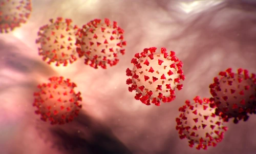 1 coronavirus s jpg jpeg