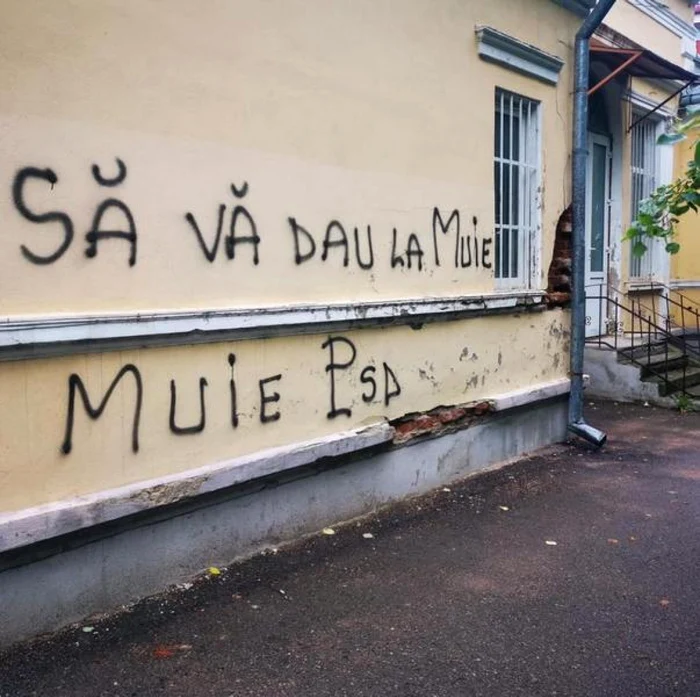 Mesajele scrise pe sediul PSD din Botoşani FOTO mediafax.ro