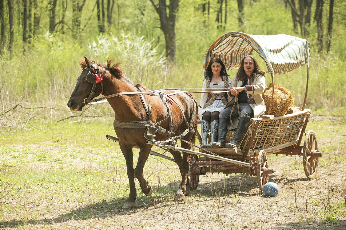 
    Negustorul, interpretat  de actorul Vasile  Calofir, a câştigat anul  trecut 12.000 de lei  la “Ferma vedetelor”.  Anul acesta  a rămas pe bară    