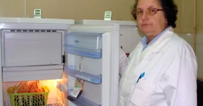Târgu-Jiu: Nicio investiţie în ultimii trei ani la Centrul de Transfuzii