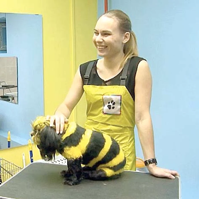 Dacă intră pe mâinile Dariei Gotz, animăluţul tău uită din ce specie face parte