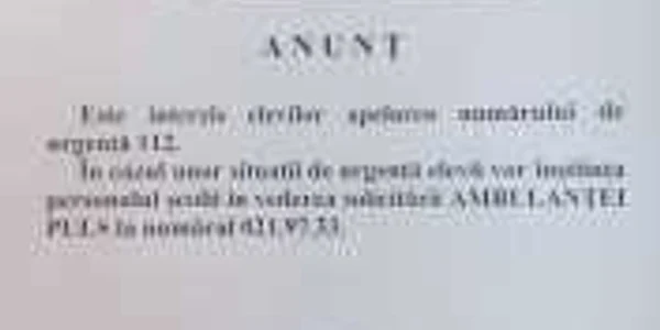 "avizier nichita stanescu"