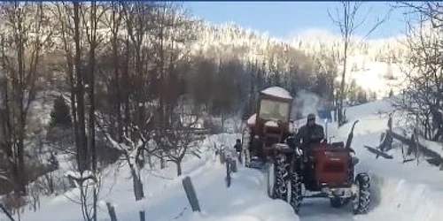 deszapezire oameni drum apuseni
