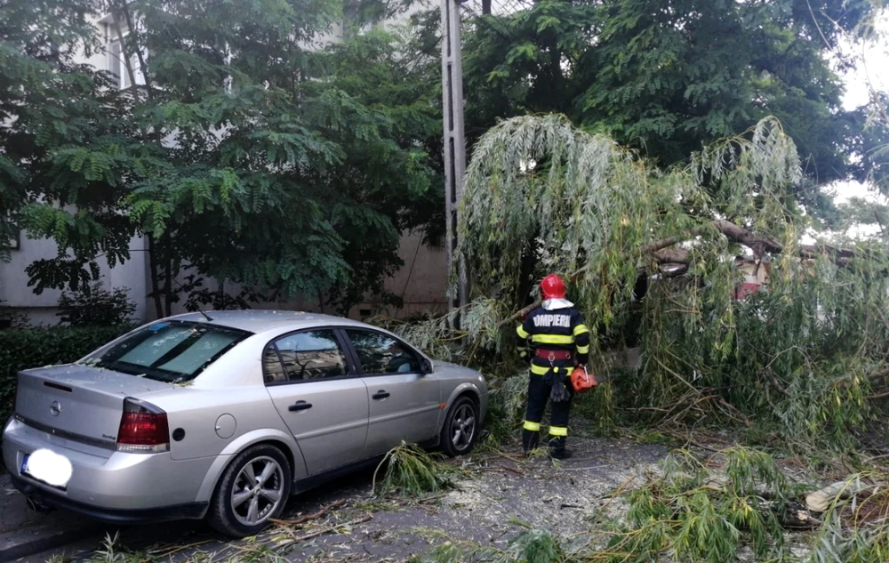 Copac doborât de vânt pe DN31 FOTO Arhivă Adevărul
