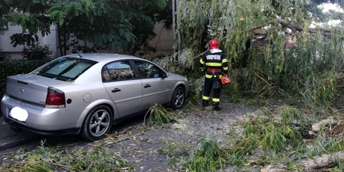 pompieri interventie copac focsani