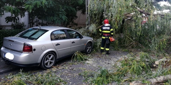 pompieri interventie copac focsani