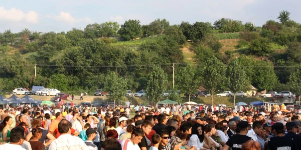 Poftiţi la Sărbătoarea Teilor