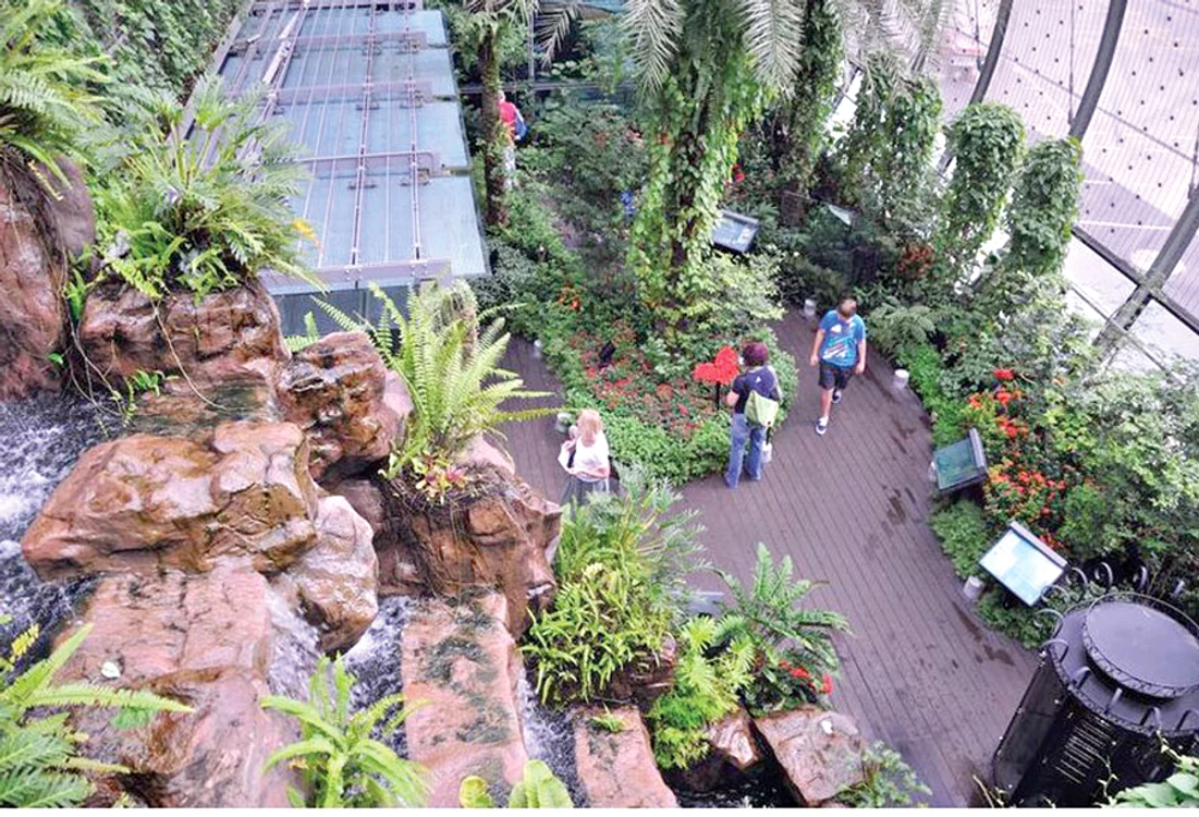 Casa “Changi Butterfly  Garden”, din aeroportul  din Singapore