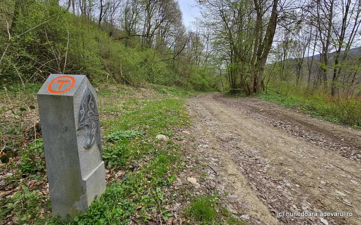 Bornă kilometrică de pe Via Transilvanica. Foto: Daniel Guță. ADEVĂRUL