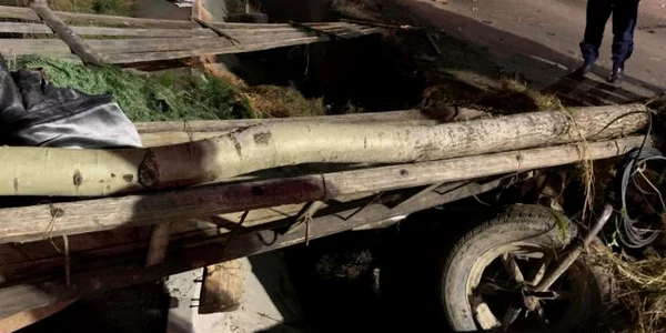 Poliţistul a decedat după ce a intrat cu maşina într-o căruţă. Foto Adevărul