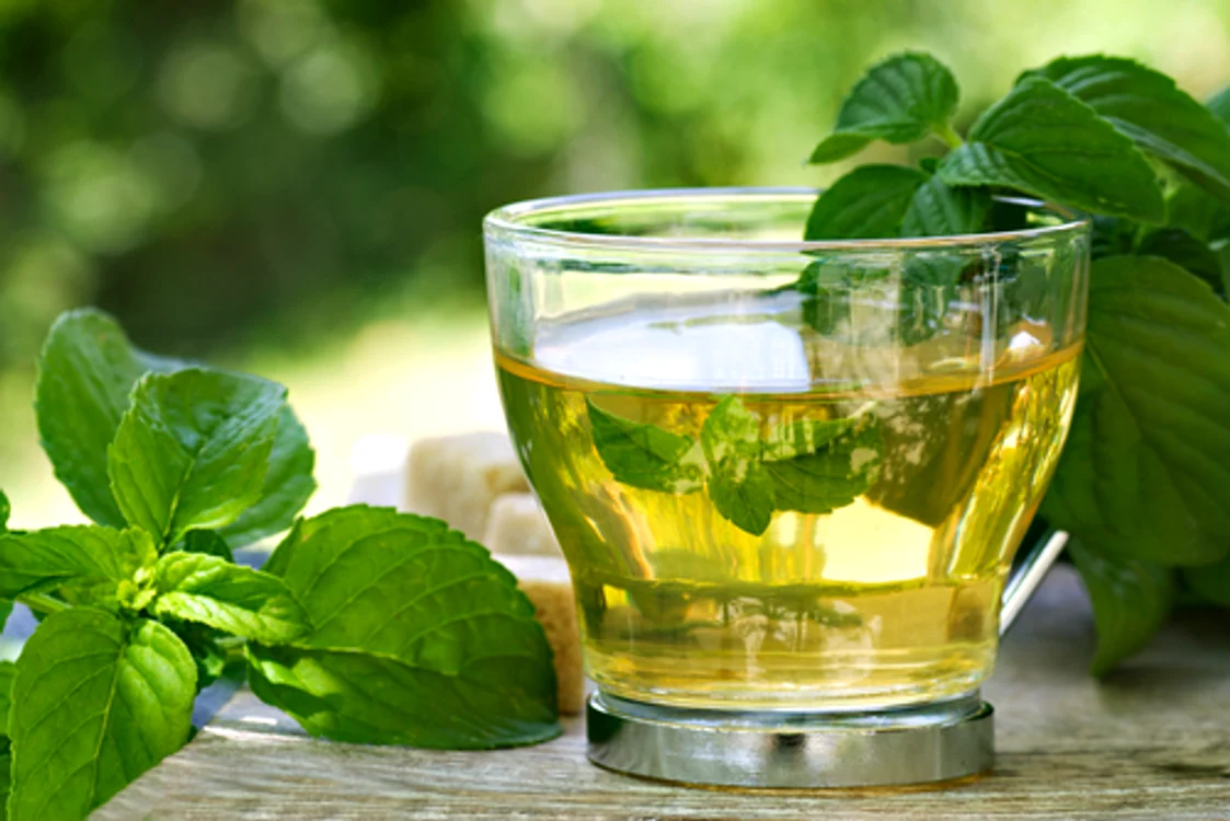 
    Menta ne revigorează în zilele caniculare  