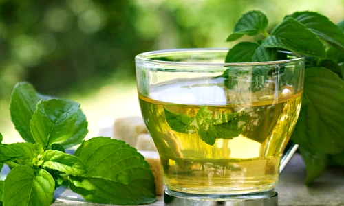 ceai de menta jpeg