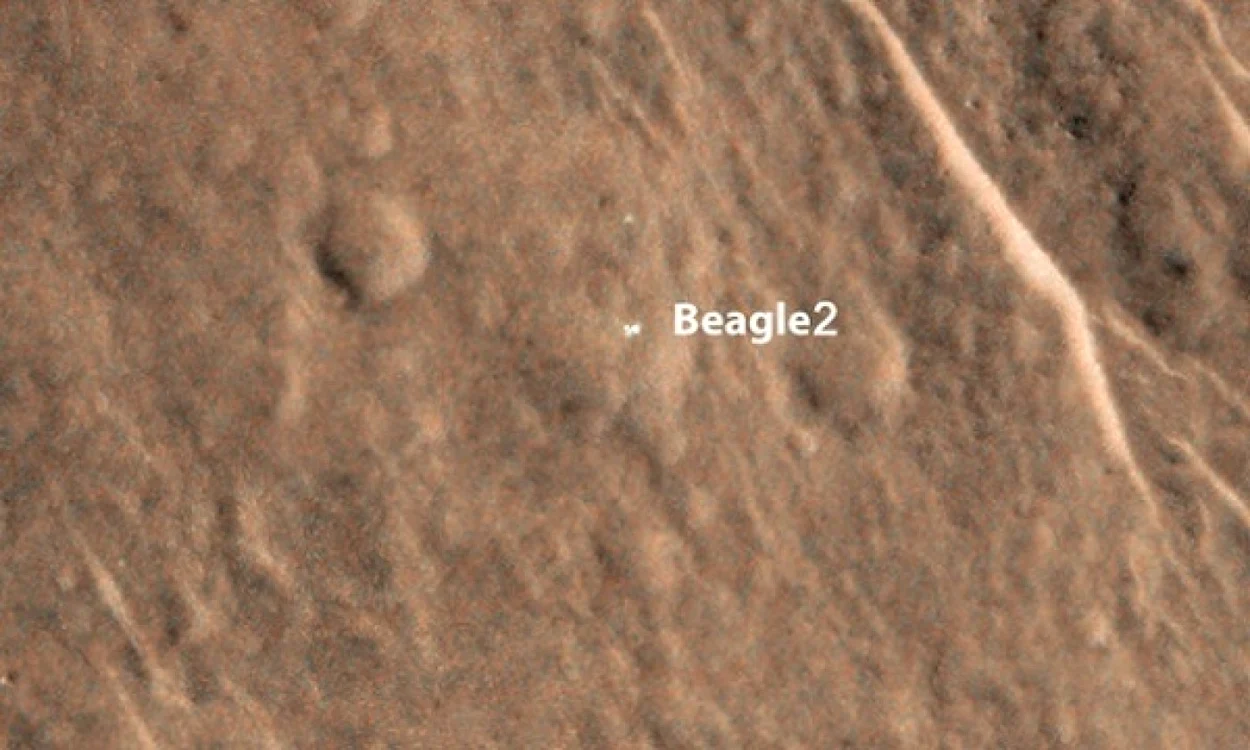 beagle 23