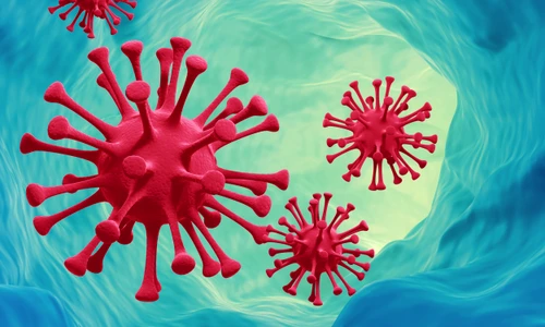 1 shutterstock 346761824 jpg jpeg